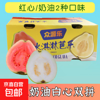 京喜加福建新鲜软糯红白心双拼奶油草莓芭乐低糖水果番石榴礼批发 3斤双拼白心+红心芭乐【一口鲜爽】净重2.7斤