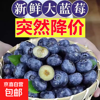 【多地次日达】高原新鲜云南蓝莓脆甜水果90g-115g净重90g+/盒 大果18mm+【个大】 买2盒送2盒【共发4盒】不够吃