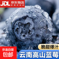 云南蓝莓【JD快递-多地次日达】蓝莓新鲜超大高山花香果水果送礼1 精选果【单果15mm+】 4盒 越多越划算【70g/盒】