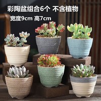 OLOEY多肉花盆粗陶透气大小口径高桩陶瓷复古植物套装组合创意花瓶 彩陶盆组合6个 组合-