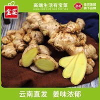 宝菜新鲜现挖正宗云南小黄姜生姜蔬菜带泥发蔬菜产地直发鲜姜 【新鲜现挖】净重4.5斤