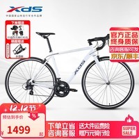 喜德盛（xds）公路自行车RC200入门休闲14速变速铝合金车架公路车 25款-白/灰 480mm