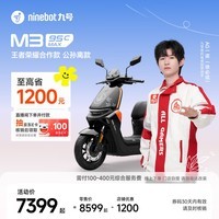 九号（Ninebot）电动摩托车 M3 95c MAX 王者荣耀合作款 公孙离 高端铅酸电摩【门店自提】 到门店选颜色