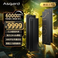阿斯加特(Asgard)192GB(48GBx4) DDR5 6000 台式机内存条 雷神索尔 马甲条 海力士M-die CL28 黑金碳纤维限定版