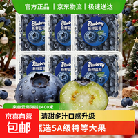 云南蓝莓新鲜蓝莓时令当季特大果花香新鲜水果辅食水果当应季新品 4盒 小份装【70g/盒】 品质中果【单果15mm+】
