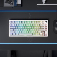 SKN青鸟75HE 磁轴机械键盘 三模无线电竞游戏键盘 客制化铝坨坨键盘 RT可调节 自研网页驱动 无感延迟 藏银-佳达隆星云磁轴 三模佳达隆 81键