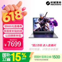 机械革命【京东电脑直播间领券立减800元】极光X 2026 (i7-13700HX 16G 1T RTX5060  灰)游戏本笔记本电脑
