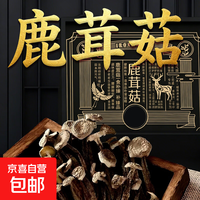 滋养气血鹿茸菇特产脆脆菇无熏新货 500g*2袋