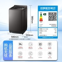 小天鹅（LittleSwan）波轮洗衣机全自动家用 10公斤变频电机水魔方防缠绕超微净泡 家电折扣补贴 TB10VE40D 波轮 【小乌梅2.0】