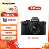 松下G100DK (Panasonic)微单相机 数码相机 vlog相机 微单套机12-32mm 4K视频 专业收音 柔肤自拍