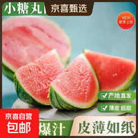 小糖丸西瓜手剥瓜小西瓜脆甜多汁新鲜现摘应季水果包邮 产地直发 单枚1.5-2斤