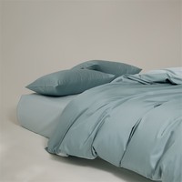 AIDLI100S纯棉四件套新疆棉纯棉被套床单枕套 高支高密床上用品  加西亚蓝1 1.5/1.8m床 床单款 （被套200*230cm）