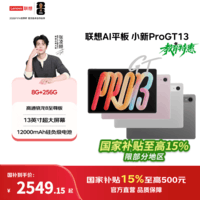 联想(Lenovo)【重磅新品】小新平板Pro GT 13 AI平板13英寸高性能平板电脑pad学生平板办公二合一官方旗舰店 8GB+256GB 霜雪银