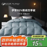 维克多（VCD）羽绒被95鹅绒被子被芯春秋四季被充0.35kg 150*210cm蓝色