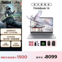 ThinkPad联想ThinkBook 16P/16笔记本电脑政府补贴 高性能酷睿Ultra9 独显 可选大学生办公游戏本TK11A 25新款酷睿5-220H 32G内存 1T固态TB16【政府补贴】 【 京东官方旗舰店 全新升级】
