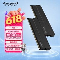 阿斯加特（Asgard）48GB(24GBx2) DDR5 6000 台式机内存条 海拉 马甲条 精选颗粒 CL42 极夜黑 AI电脑配件升级