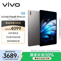 vivo Pad5 Pro 柔光版 16GB+512GB 寒星灰 13英寸超清护眼柔光屏 蓝晶×天玑9400 平板电脑