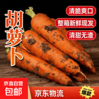 2026新鲜现挖胡萝卜沙地胡萝卜榨汁凉拌沙拉蔬菜生鲜超市买菜早餐 【整箱2斤】 新鲜带泥胡萝卜