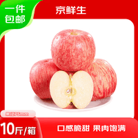 京鲜生山东烟台红富士苹果 净重10斤 果径75mm+ 新鲜水果 源头直发
