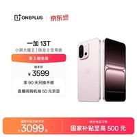 一加 13T 16GB+512GB 怦然粉 oppo 性能超强小直屏 骁龙 8 至尊版 6260mAh电池 智能游戏手机 国家补贴