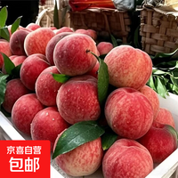 【头茬】湖北露天水蜜桃新鲜时令应急水果大毛桃子整箱 【尝鲜】带箱1斤中果(5-8粒单果70g+)