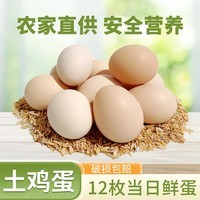 云依禾农庄 散养鸡蛋新鲜现捡土鸡蛋谷物虫草柴鸡蛋笨鸡蛋生鲜 【鲜鸡蛋】12枚