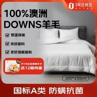 1号会员店（One\'s Member）100%澳洲进口纯羊毛被A类羊绒抗菌羊毛加厚保暖被芯 200*230cm