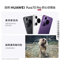 华为（HUAWEI）Pura 70 Pro 光织银 12GB+512GB 超高速风驰闪拍 华为鸿蒙智能手机