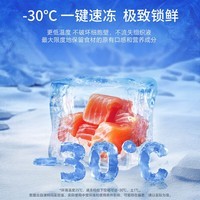澳柯玛（AUCMA）149升单温家用冷柜 低霜一级能效机械控温 BC/BD-149NE 以旧换新 -30度|减霜80%|合金内胆 149L 京仓发货
