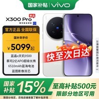 vivo X300 Pro 新品5G手机 国家补贴 卫星通信 蔡司2亿APO超级长焦 简单白 12GB+256GB 卫星通信版【全国补贴】