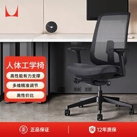 赫曼米勒(HERMAN MILLER)Verus经典款网状织物 碳黑色 人体工学椅电脑椅办公椅 舒适支撑