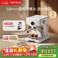 柏翠(petrus)【政府补贴】咖啡机意式浓缩家用小型半自动蒸汽打奶泡PE3833海盐小方 圣诞礼物