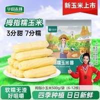 华田禾邦【新玉米】云南拇指玉米1斤(6-12根)儿童甜糯小玉米西双版纳 早餐