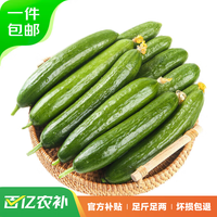 京鲜生 山东荷兰水果黄瓜3斤 水果黄瓜青瓜新鲜水果蔬菜 源头直发