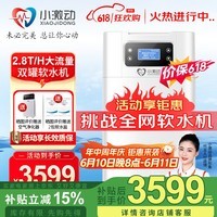 小激动双罐软水机家用2.8T/H大流量小型厨下式 全自动中央全屋净水软水系统套装 软化水除垢净水器设备 中央软水机R300(2.8T/H处理量)