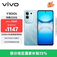 vivo Y300t 8GB+256GB 海蓝 国家补贴 6500mAh超薄蓝海电池 天玑7300长久流畅芯 全功能NFC AI手机