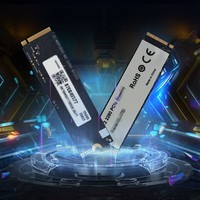 联想(Lenovo)拯救者原装 1TB SSD固态硬盘 联芸定制 M.2接口(NVMe协议) L700系列 PCIe4.0 游戏本 PS5兼容