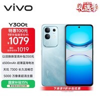 vivo Y300t 8GB+256GB 海蓝 国家补贴 6500mAh超薄蓝海电池 天玑7300长久流畅芯 全功能NFC AI手机