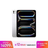 Apple/苹果 iPad Pro 11英寸 M4芯片 2024年新款平板电脑(2TB eSIM版/纳米纹理玻璃/MWRX3CH/A)银色