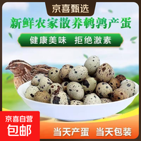 生鲜鹌鹑蛋 当日新鲜 整箱批发 农家散养 杂粮鸟蛋宝宝辅食生蛋 当日现捡30枚*1箱