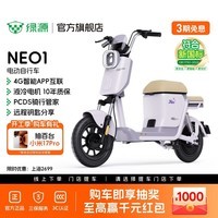 绿源【门店自提】NEO1 新新国标电动自行车 智能高性价比电动车 成人通勤代步小型可上牌长续航电自 到门店选颜色-48V20A铅酸