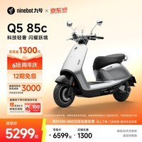 九号(Ninebot)电动摩托车Q5 85c 智能智驾 长续航电摩 智能碳晶电池【门店自提】 到门店选颜色