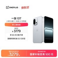 一加 13T 16GB+1TB 晨雾灰 oppo 性能超强小直屏 骁龙 8 至尊版 6260mAh电池 智能游戏手机 国家补贴