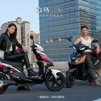 立马电动摩托车闪电58公里高速续航1500W电机72V20Ah铅酸电池家用外卖智能电动车 极光满红