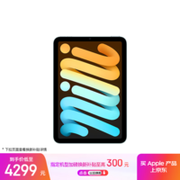 Apple/苹果 iPad mini (A17 Pro) 8.3英寸 平板电脑(256G WLAN版/mini7/MXNC3CH/A)蓝色