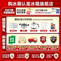 容声方糖515L法式多门冰箱双系统双循环主动除菌超薄零嵌入式家用一级能效BCD-515P60FZMAD灰国家补贴 世界杯【60cm真零嵌底部散热】【主动除菌2.0】
