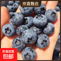 国产云南蓝莓 大果蓝莓 精选孕妇新鲜生鲜水果 2盒装 多买多划算【90-115g/盒】 【单果15mm+】
