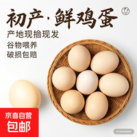 京喜加新鲜鸡蛋土鸡蛋山林自养鸡蛋40g正负5g早餐买菜溏心蛋京东包邮 【初产谷饲鲜鸡蛋40g-50g】10枚