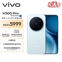vivo X300 Pro 16GB+512GB 自在蓝 蔡司2亿APO超级长焦 蓝图影像双芯 5年持久流畅OriginOS 6 AI手机