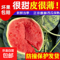 正宗美都麒麟无籽西瓜 JD送货上门当季新鲜孕妇水果薄皮手撕西瓜2 爆甜麒麟瓜 净果4.1-6斤